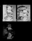 Japanese Men at Experiment Station (3 Negatives), July 28-30, 1962 [Sleeve 81, Folder a, Box 28]